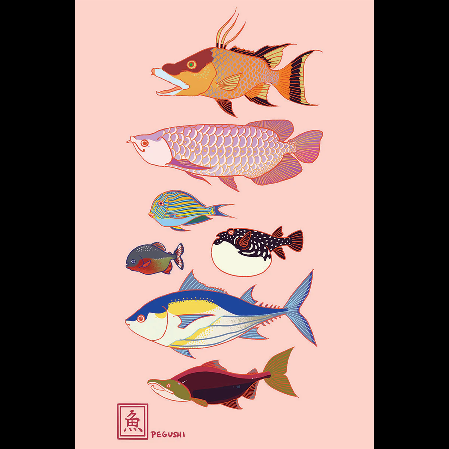 Fish Postcard (6-pack)