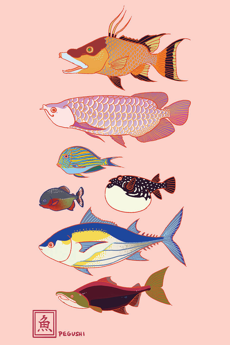 Fish Postcard