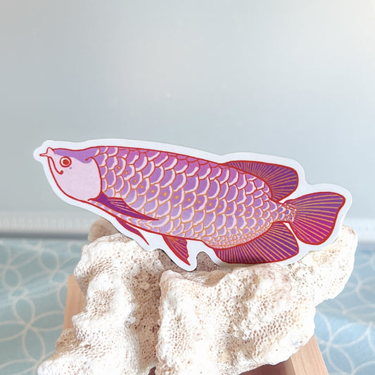 Arowana Sticker