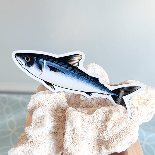 Mackerel Sticker