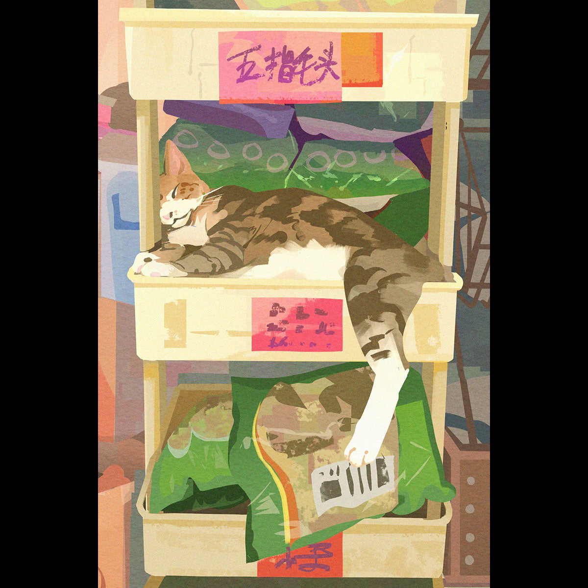 Cat Postcard (6-pack)