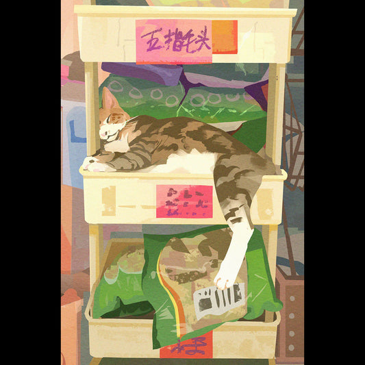 Cat Postcard (6-pack)