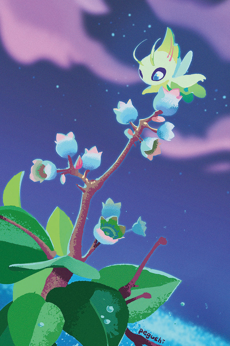 Celebi Postcard